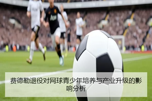 费德勒退役对网球青少年培养与产业升级的影响分析